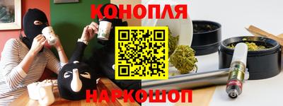 стаф Дубна