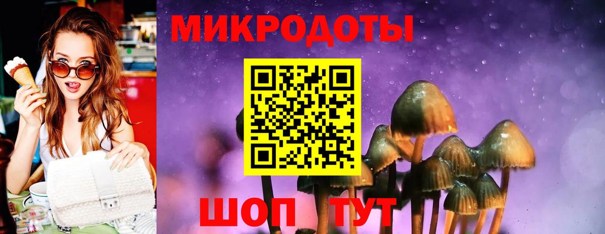 Галлюциногенные грибы ЛСД Майкоп