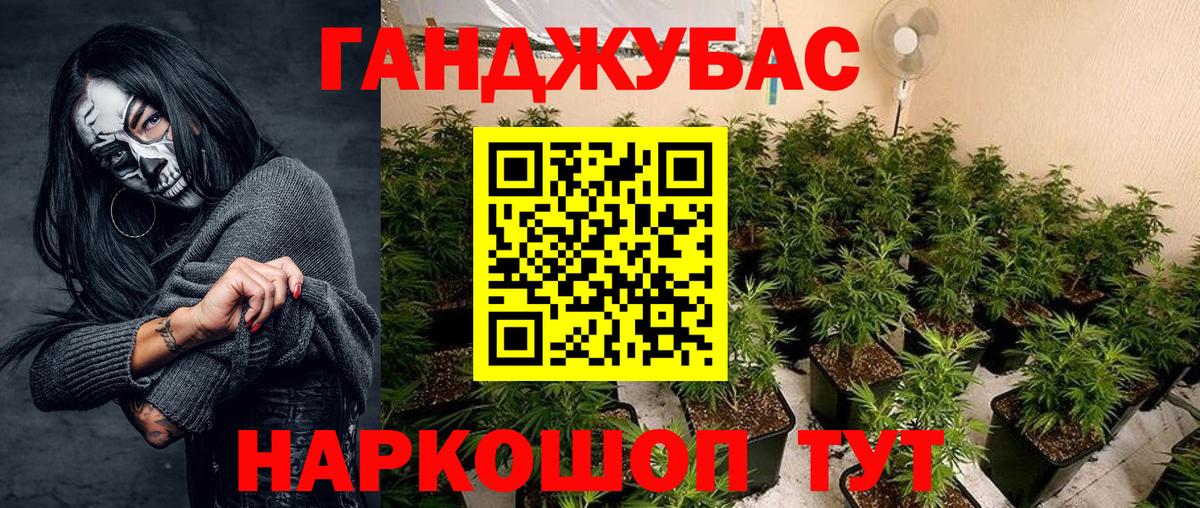 Бошки марихуана Amnesia  Каннабис AK-47  Майкоп  Вход с VPN 